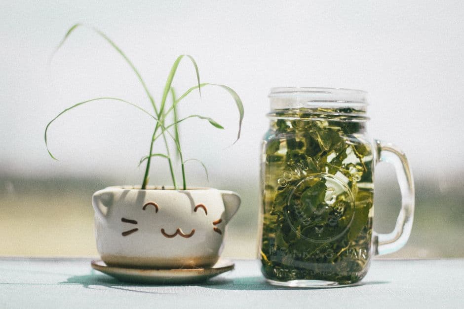 Alkaloid Infused Ready-to-Drink